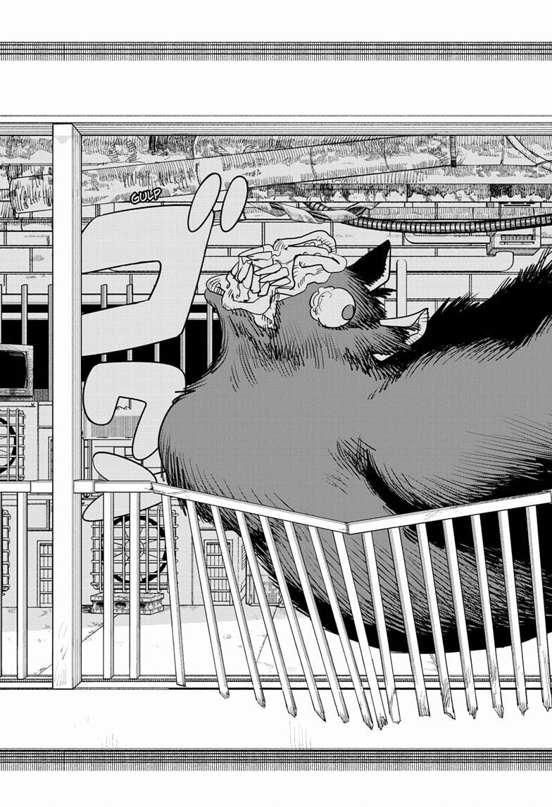 Chainsaw Man, Chapter 102 image 28