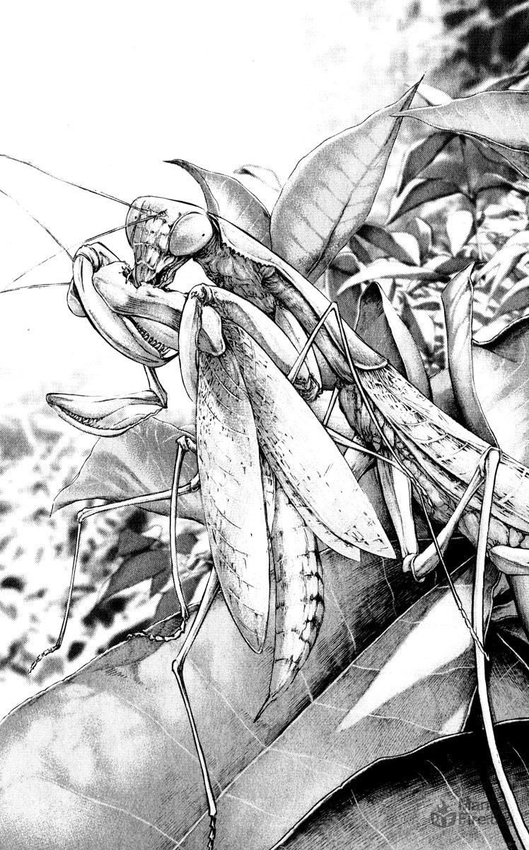 The Climber Chapter 51 image 06