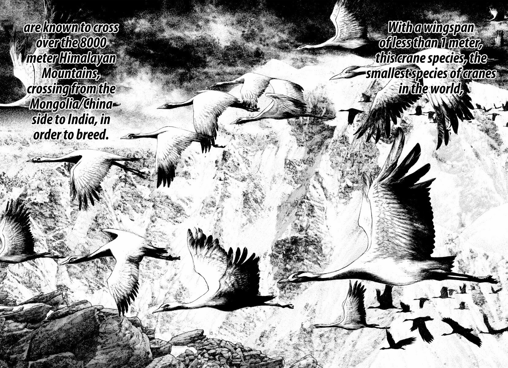 The Climber Chapter 168 image 10