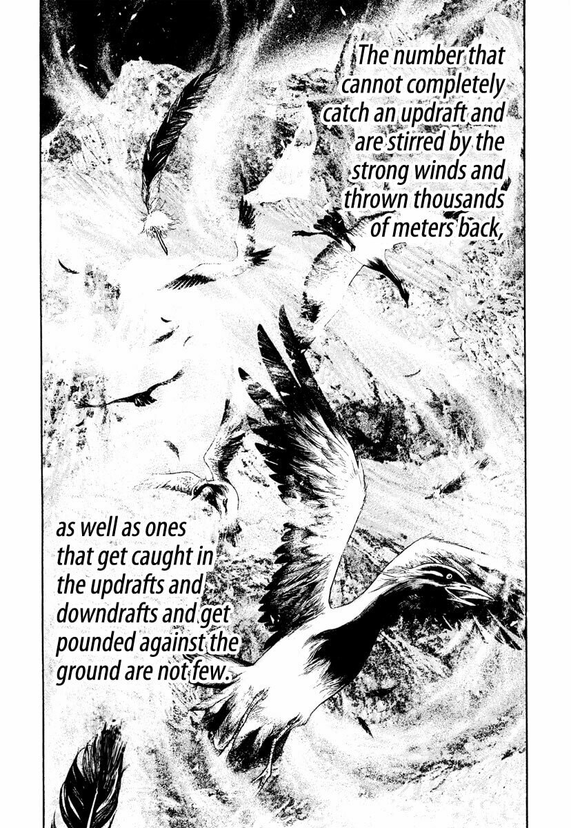 The Climber Chapter 168 image 13
