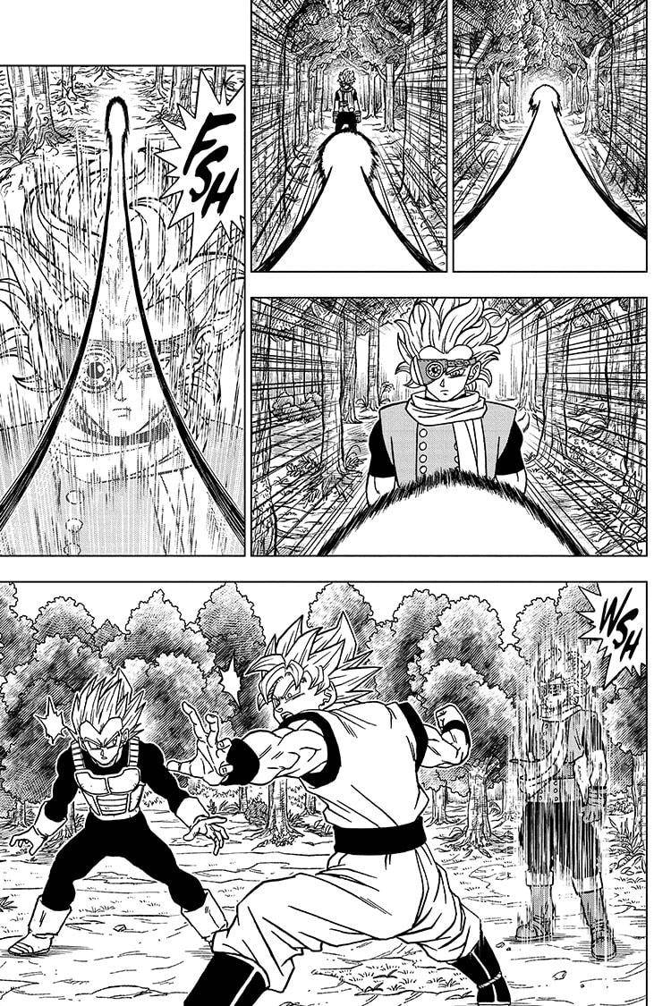 Dragon Ball Super, Chapter 72 image 17