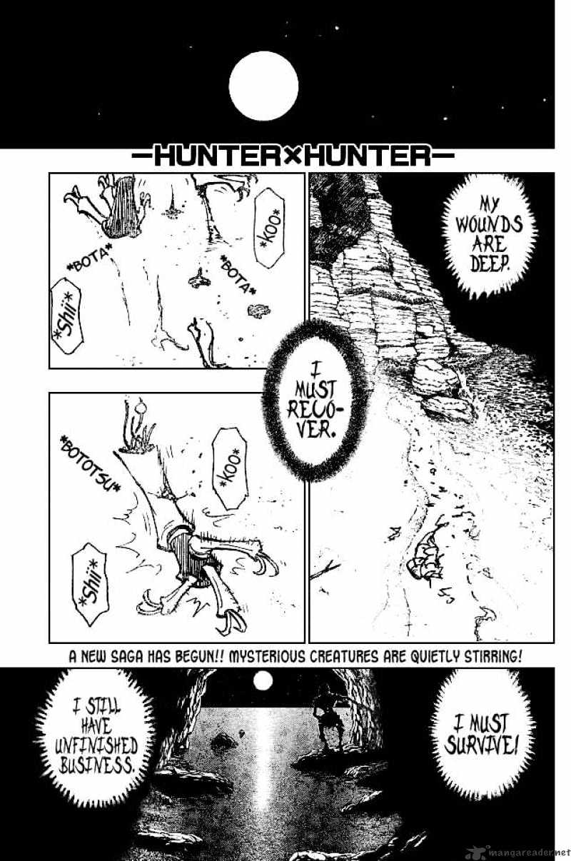 Hunter x Hunter, Chapter 186 - Queen image 01