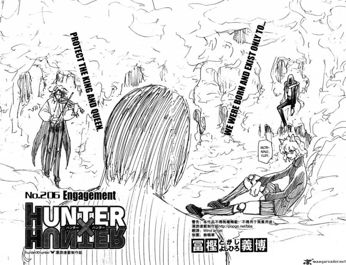 Hunter x Hunter, Chapter 206 - Victory Or Defeat image 05