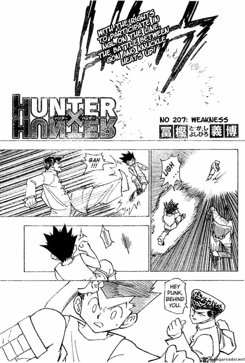 Hunter x Hunter, Chapter 207 - Weakness 1 image 02