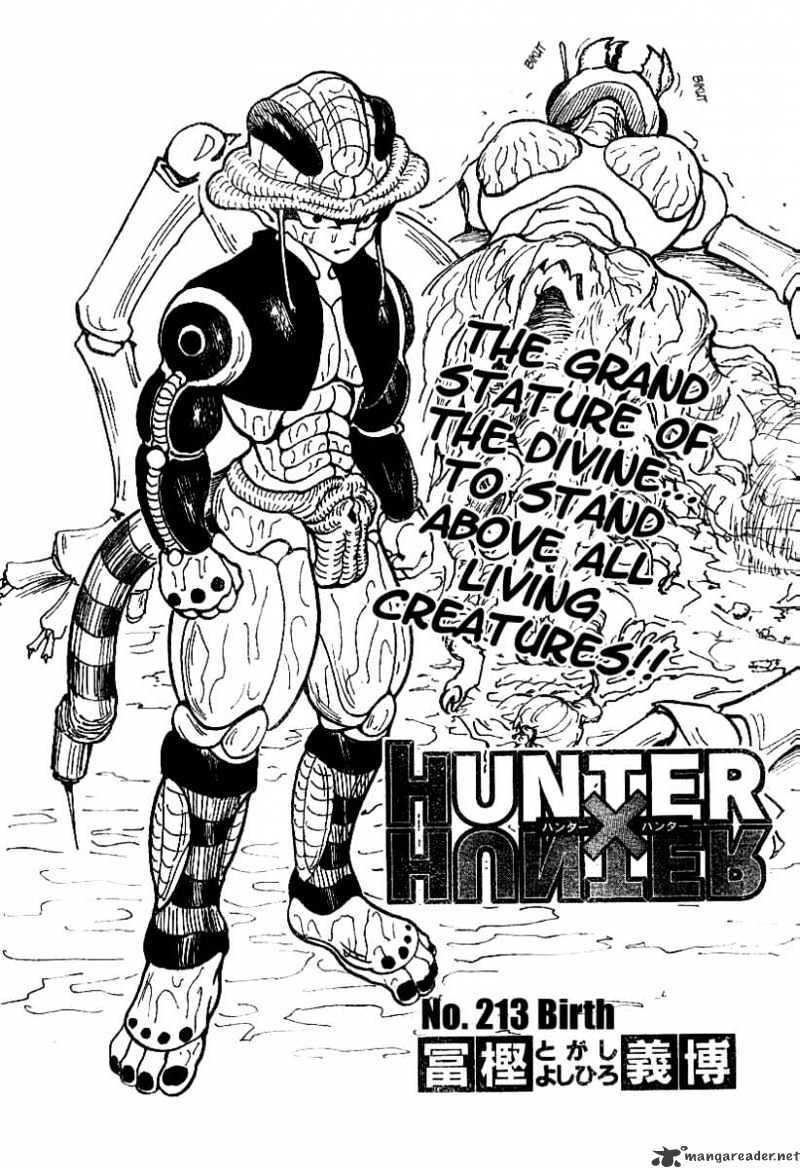 Hunter x Hunter, Chapter 213 - Birth image 03