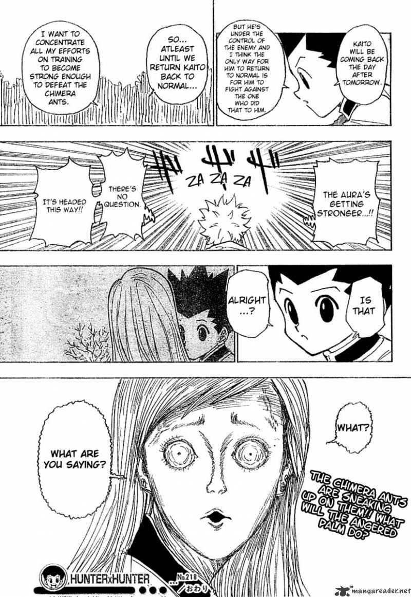 Hunter x Hunter, Chapter 218 - Confession image 16