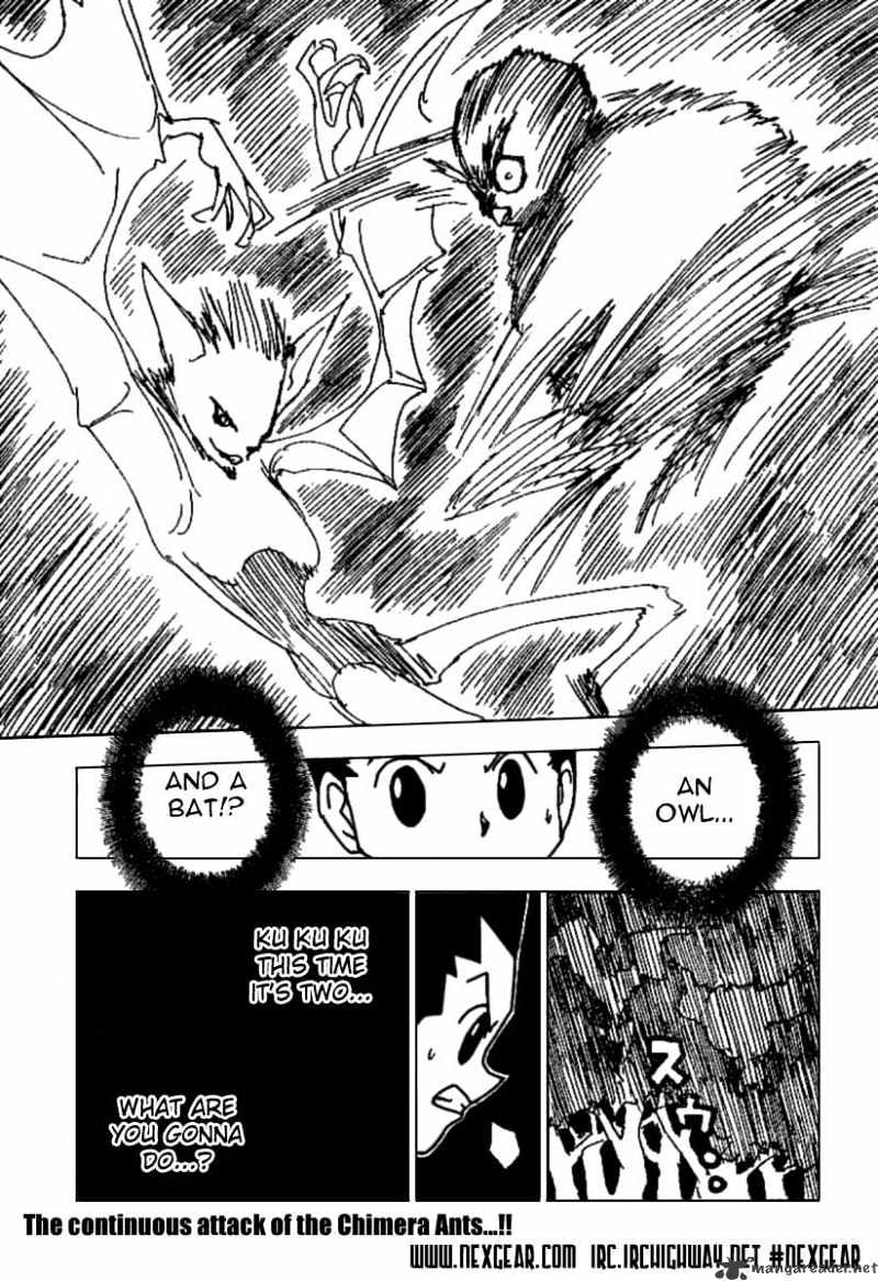 Hunter x Hunter, Chapter 231 - 9 - 2 image 15