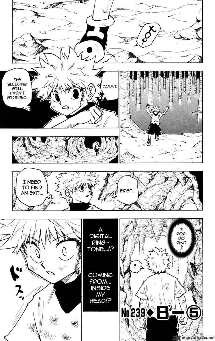 Hunter x Hunter, Chapter 239 - 8 - 5 image 01