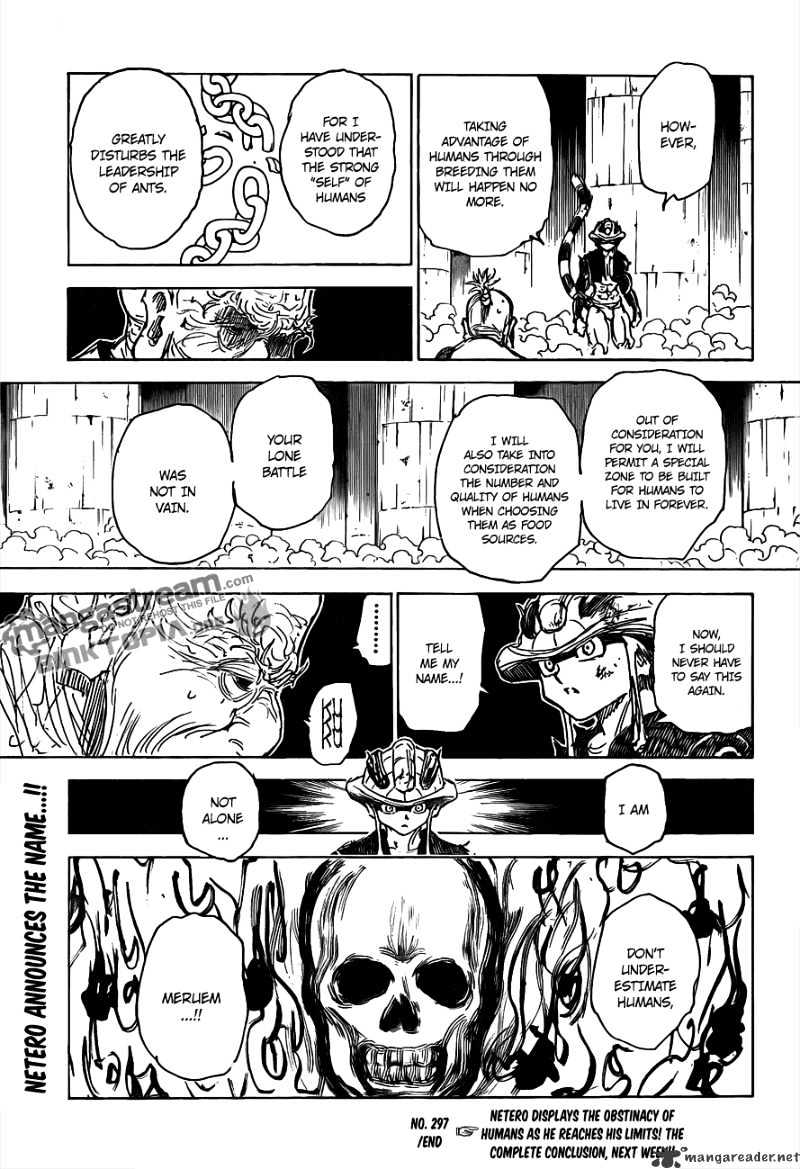 Hunter x Hunter, Chapter 297 - The Last image 17