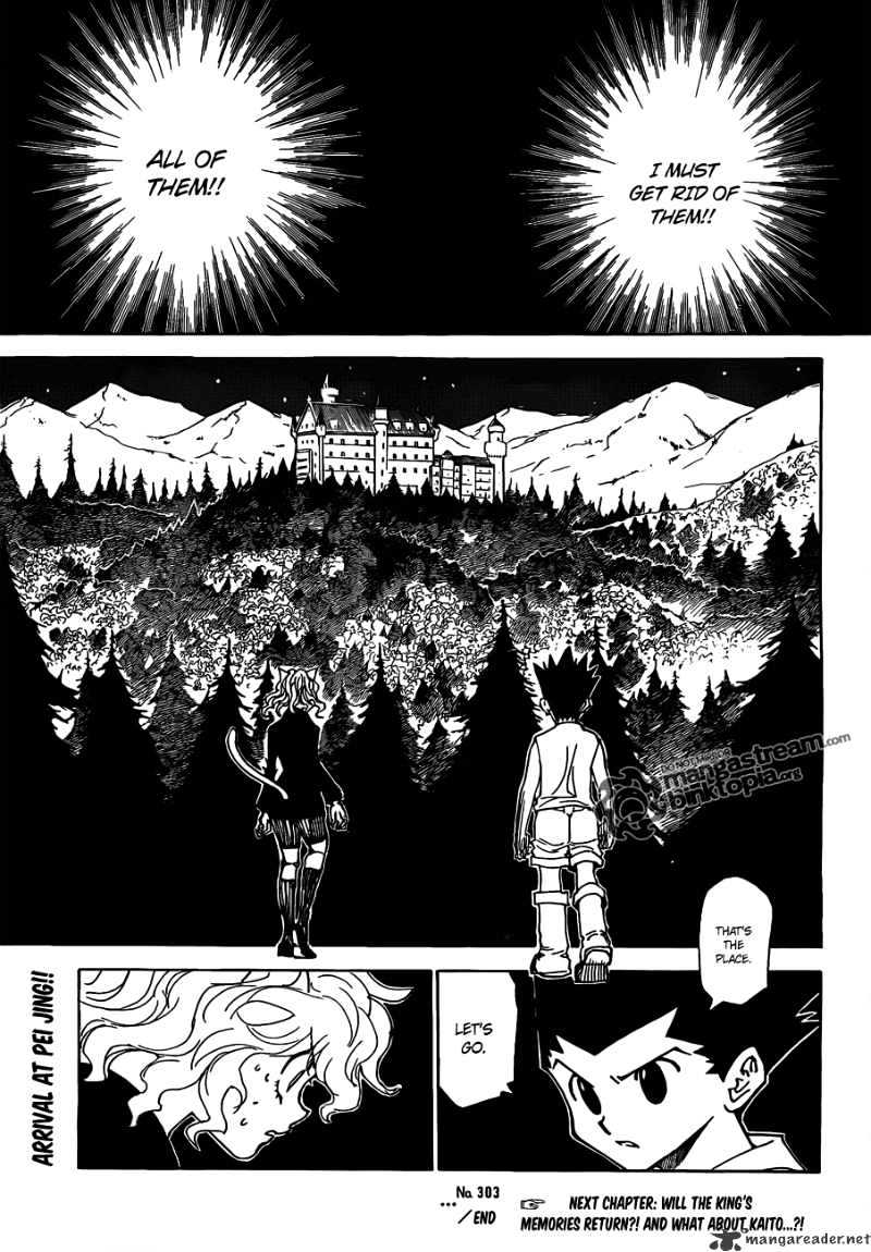 Hunter x Hunter, Chapter 303 - Pain image 18