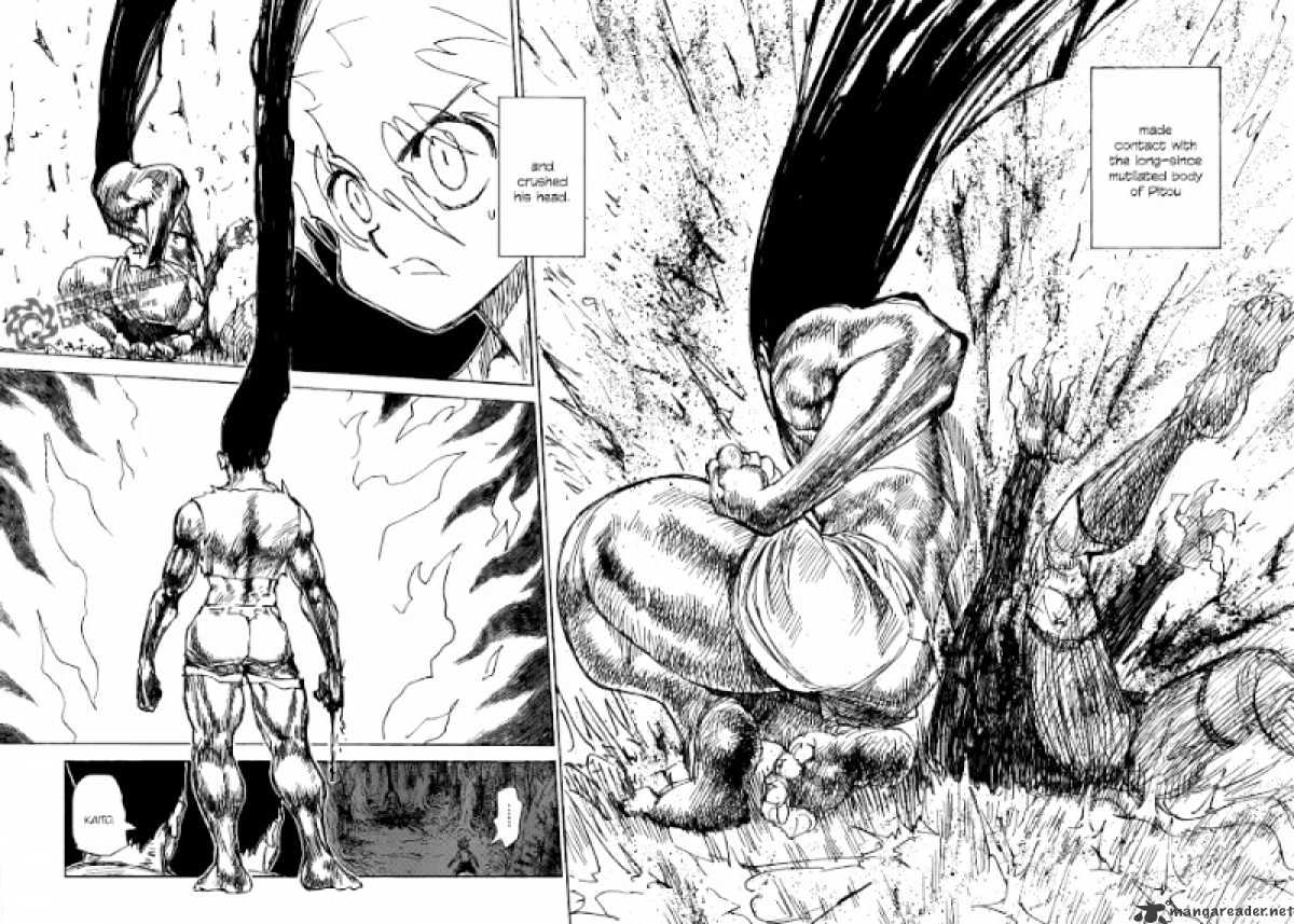 Hunter x Hunter, Chapter 307 - Loss image 03