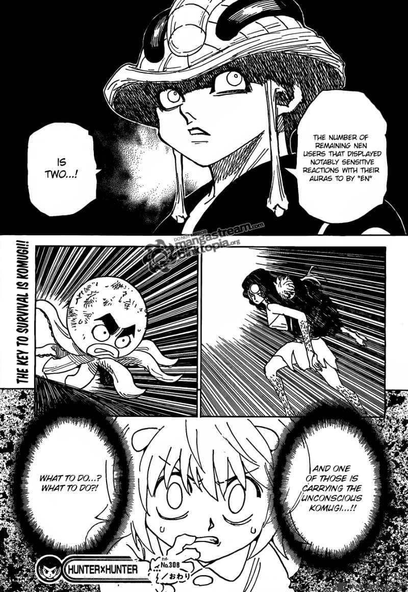 Hunter x Hunter, Chapter 308 - Flash image 17