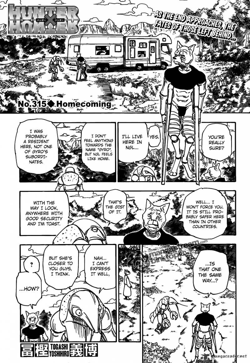 Hunter x Hunter, Chapter 315 - Homecoming image 01