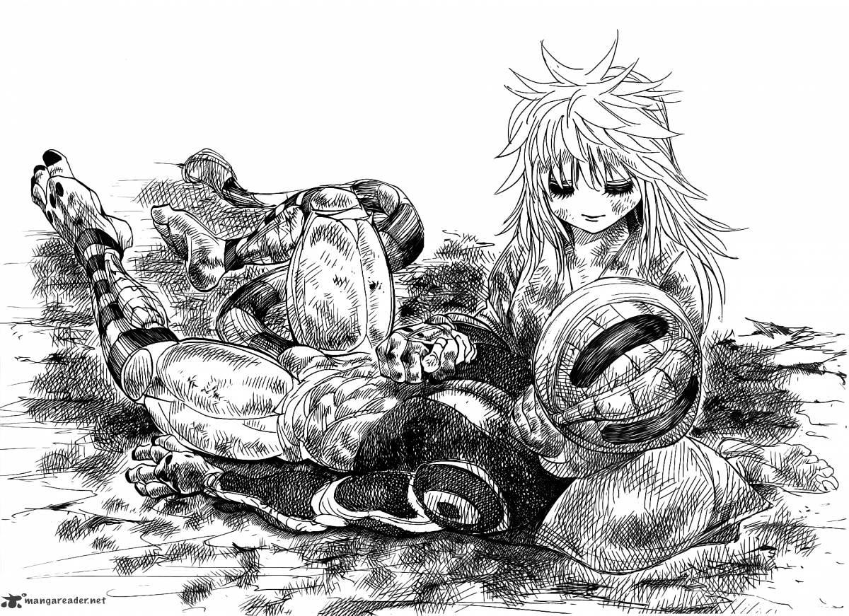 Hunter x Hunter, Chapter 318 - Last Will image 09