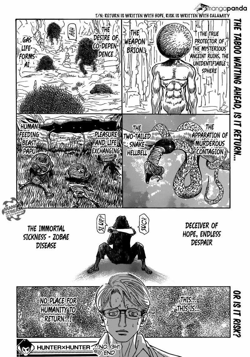 Hunter x Hunter, Chapter 341 - Calamity image 22