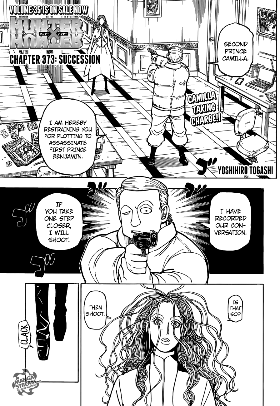 Hunter x Hunter, Chapter 373 - Succession image 01