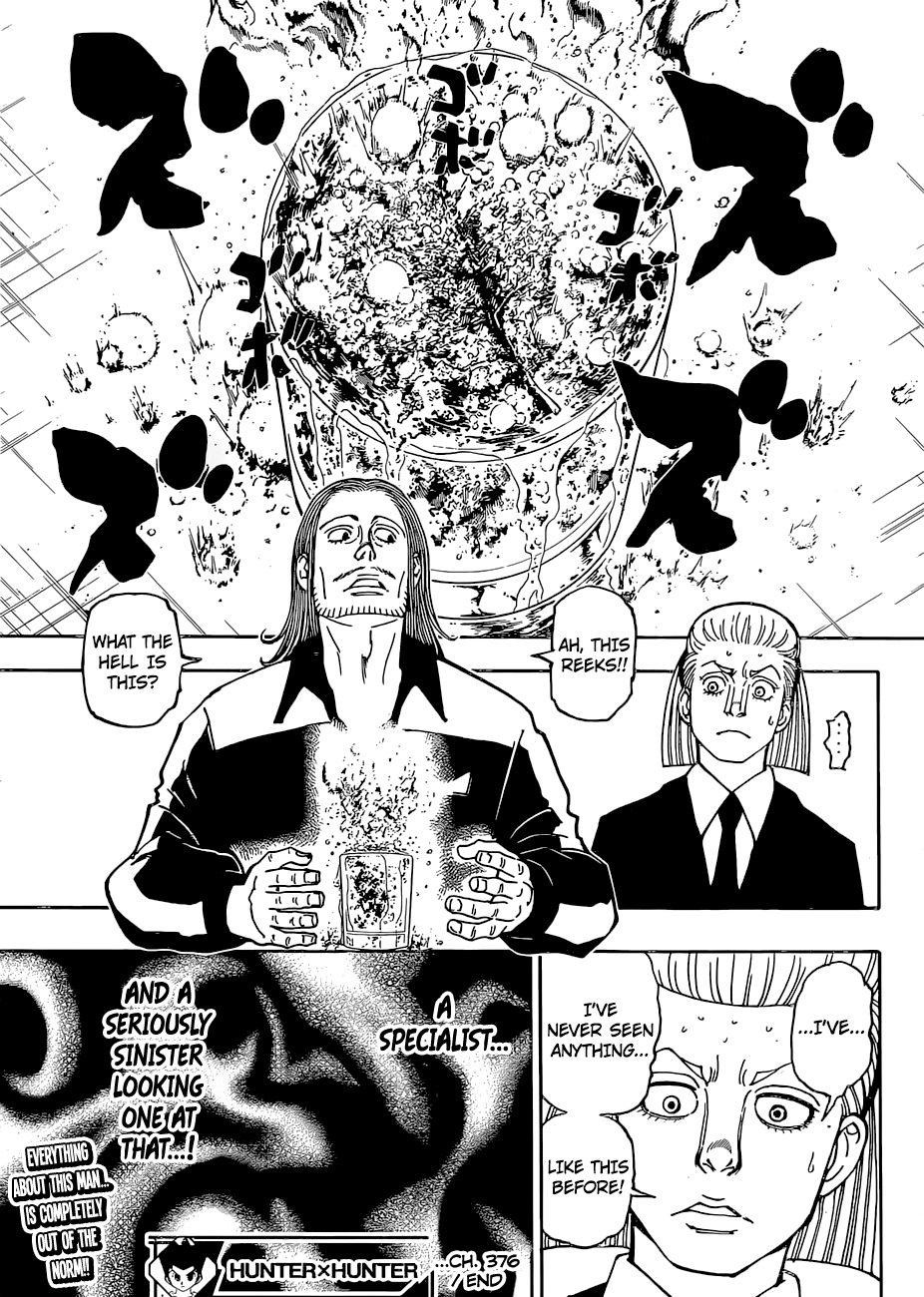 Hunter x Hunter, Chapter 376 - Determination image 21