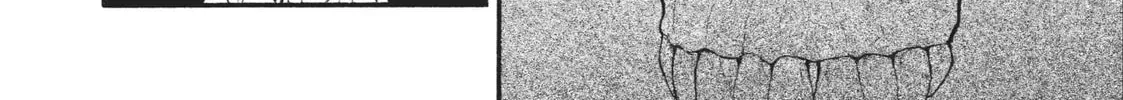 Read Daemons Of The Shadow Realm - Chapter 9.2 - w1.daemonsoftheshadowreal.com | Image 8