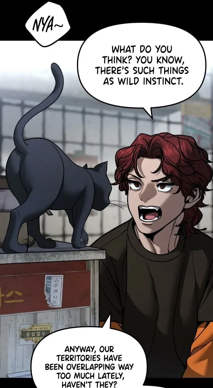 Read Designated Bully - Chapter 190 - www.designatedbully.com | Image 21