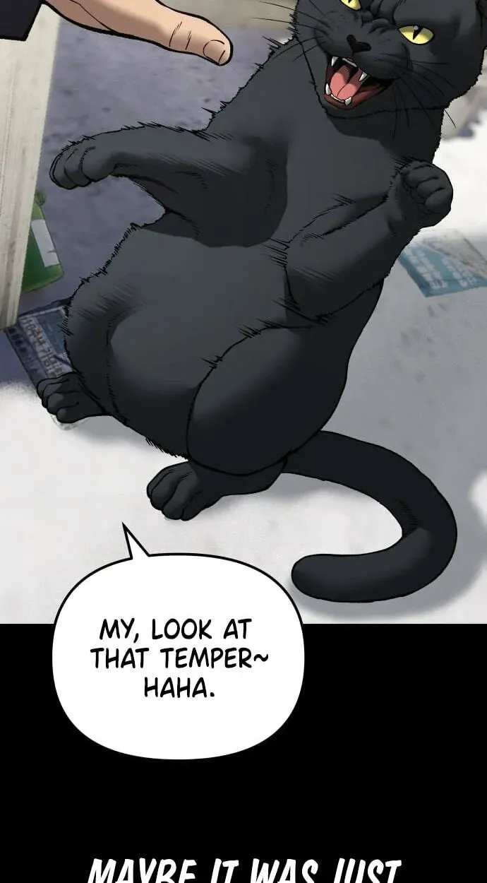 Read Designated Bully - Chapter 190 - www.designatedbully.com | Image 39