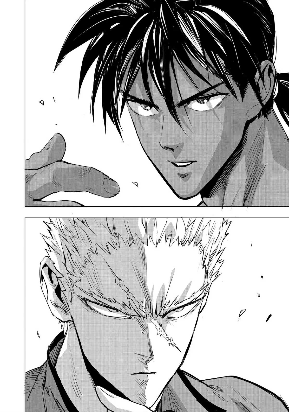One Punch Man Chapter 236 - Page 14