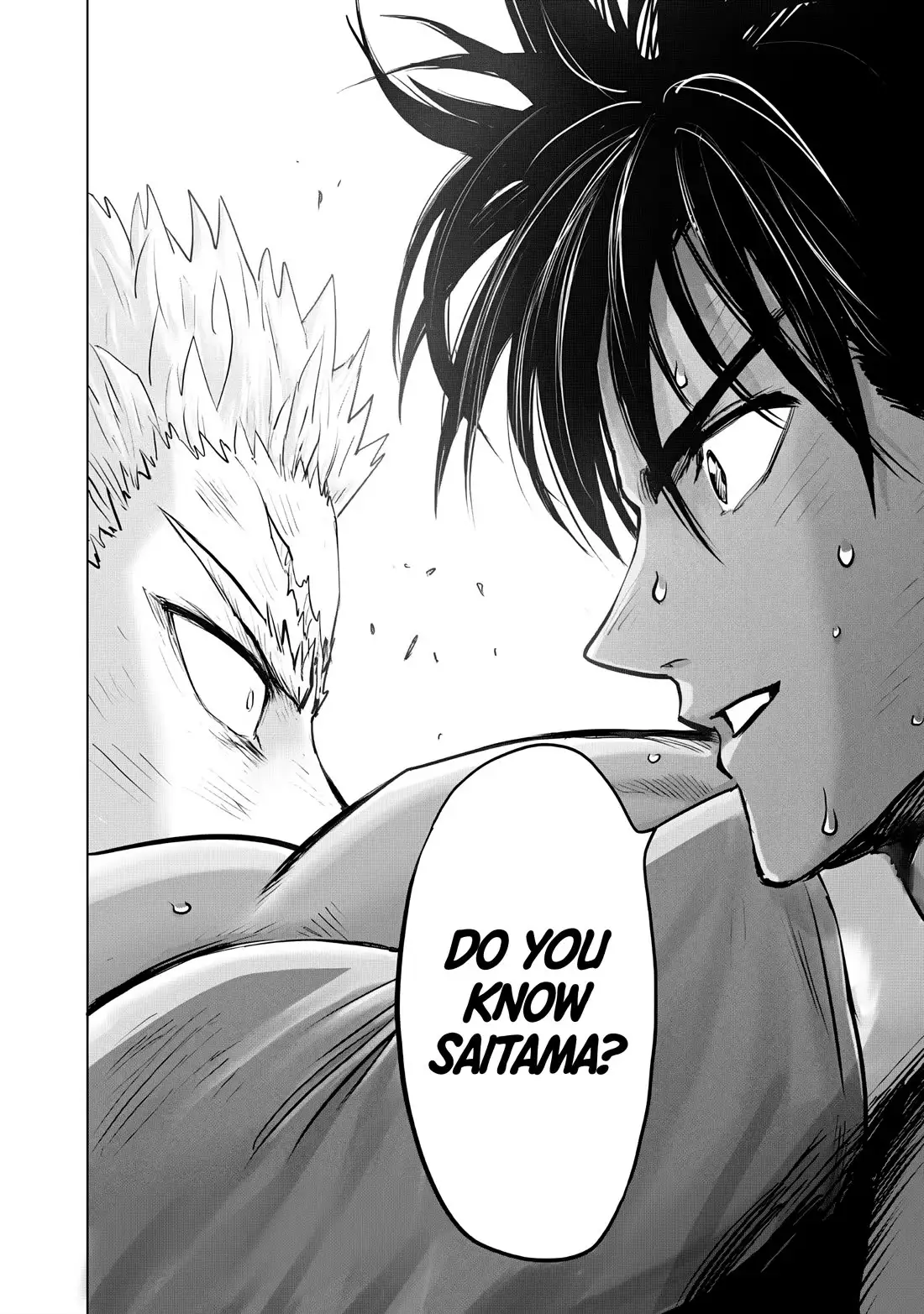 One Punch Man Chapter 237 - Page 21
