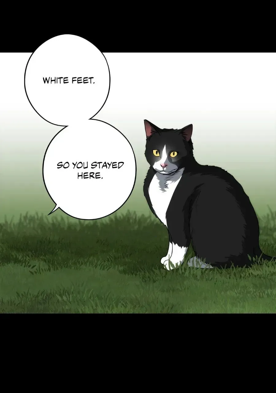 Chapter 230 — Page 41