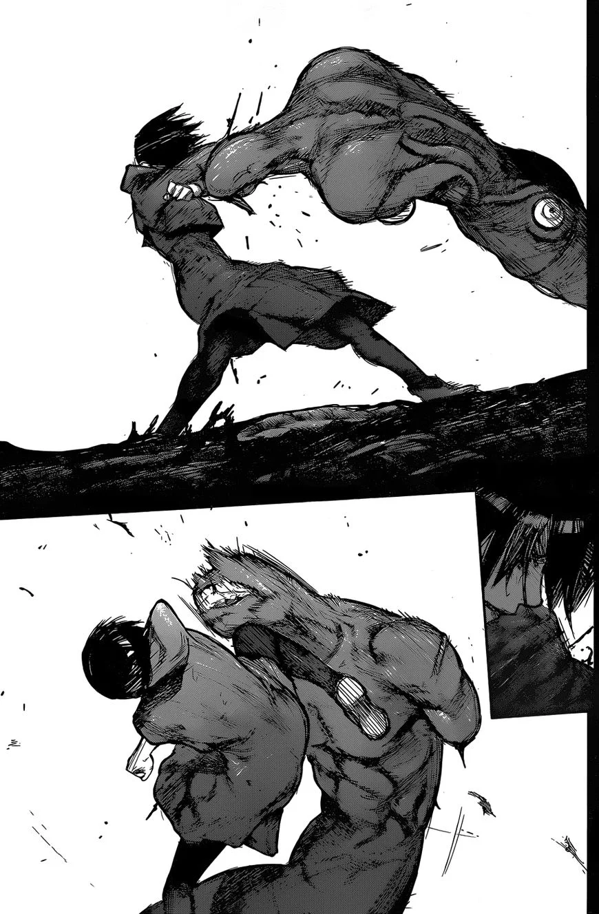 Read Tokyo Ghoul - Chapter 160 - tokyoghoul.club | Image 14