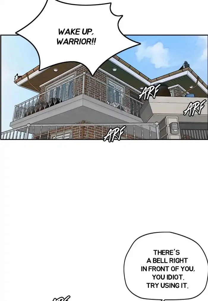 Read Wind Breaker Japan 2 - Chapter 228 - w12.windbreakermangafree.org | Image 73
